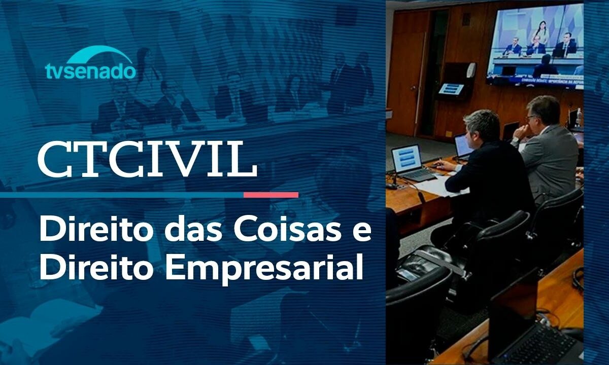 CTCivil do Senado Federal conclui debates dedicados ao Direito das Coisas e ao Direito Empresarial