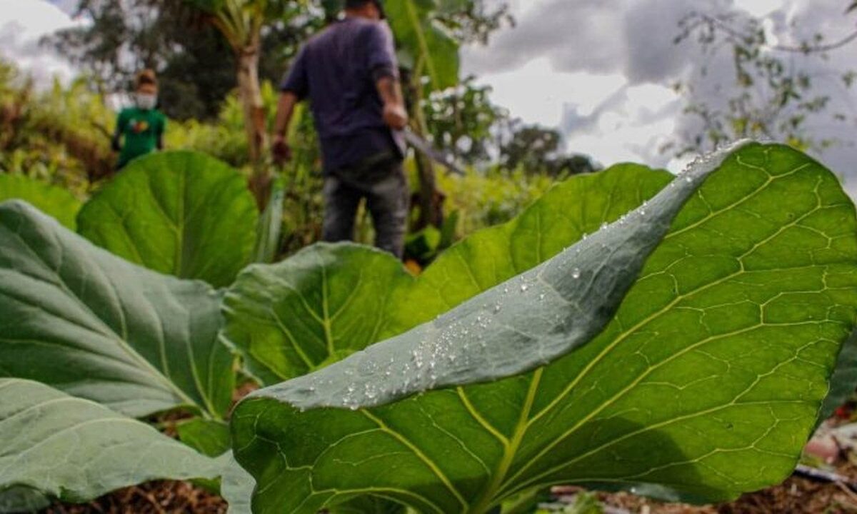 Projeto cria programa de assentamentos produtivos perto de cidades