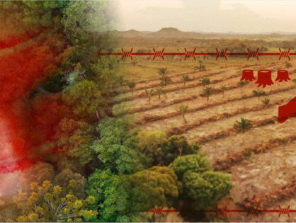Proteção das terras indígenas: segurança jurídica e desafios para o agronegócio