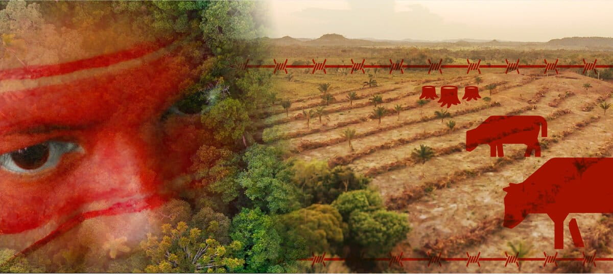 Proteção das terras indígenas: segurança jurídica e desafios para o agronegócio