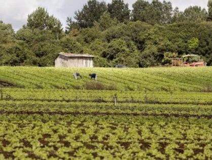 Projeto prevê validação automática do Cadastro Ambiental Rural para pequenas propriedades