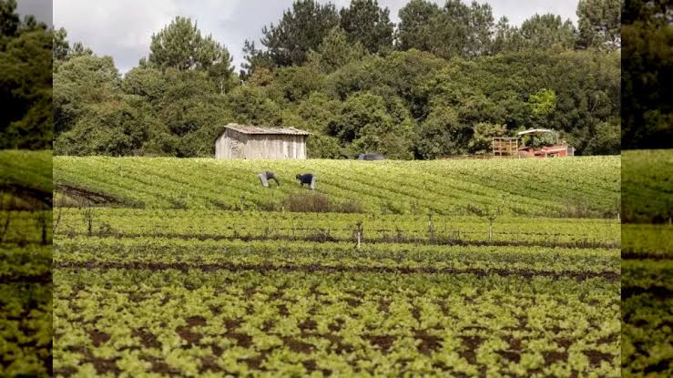 Projeto prevê validação automática do Cadastro Ambiental Rural para pequenas propriedades